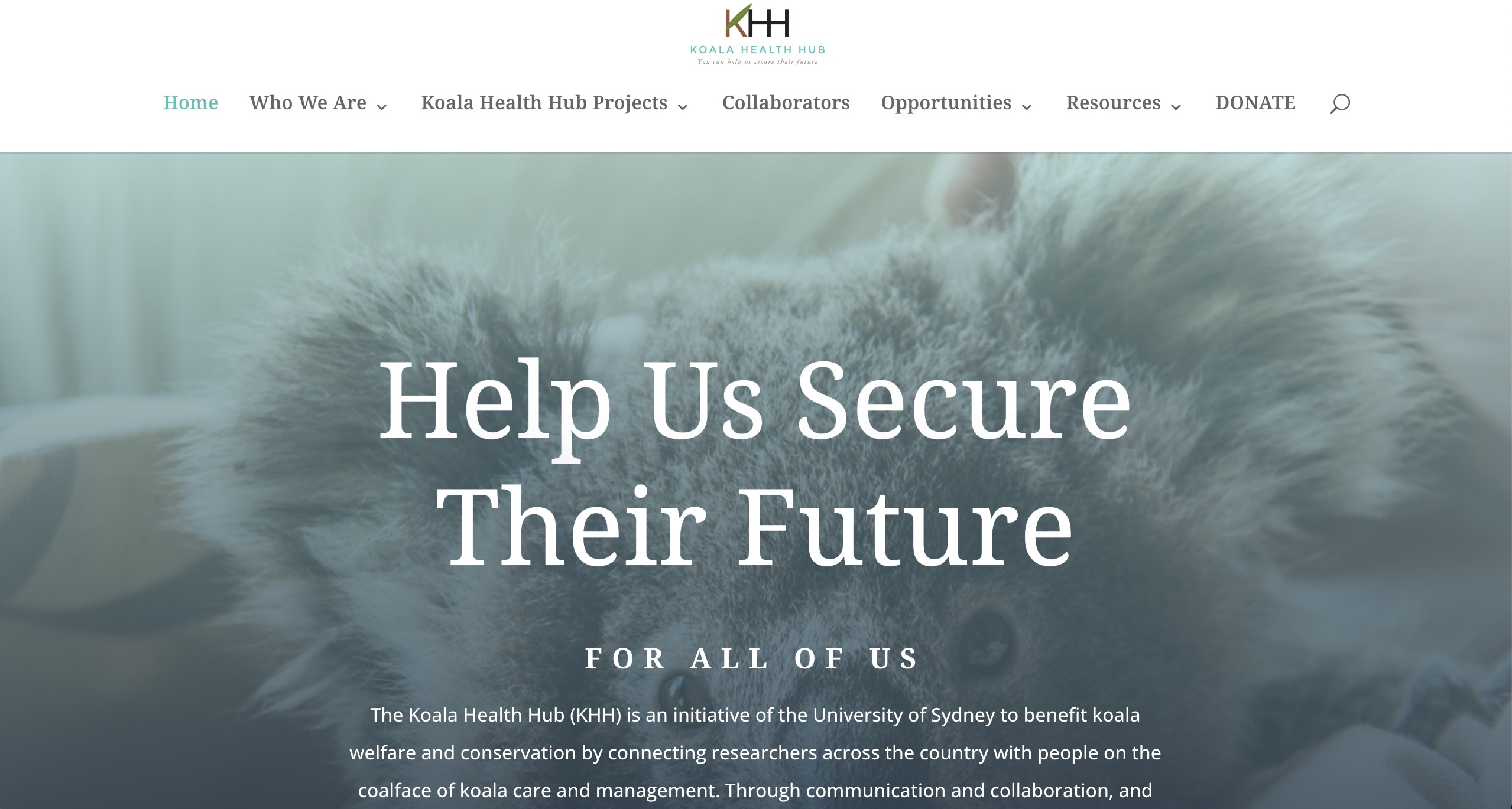 Koala Health Hub
